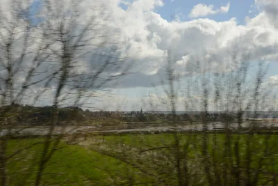 DSC_7209 (Large).JPG